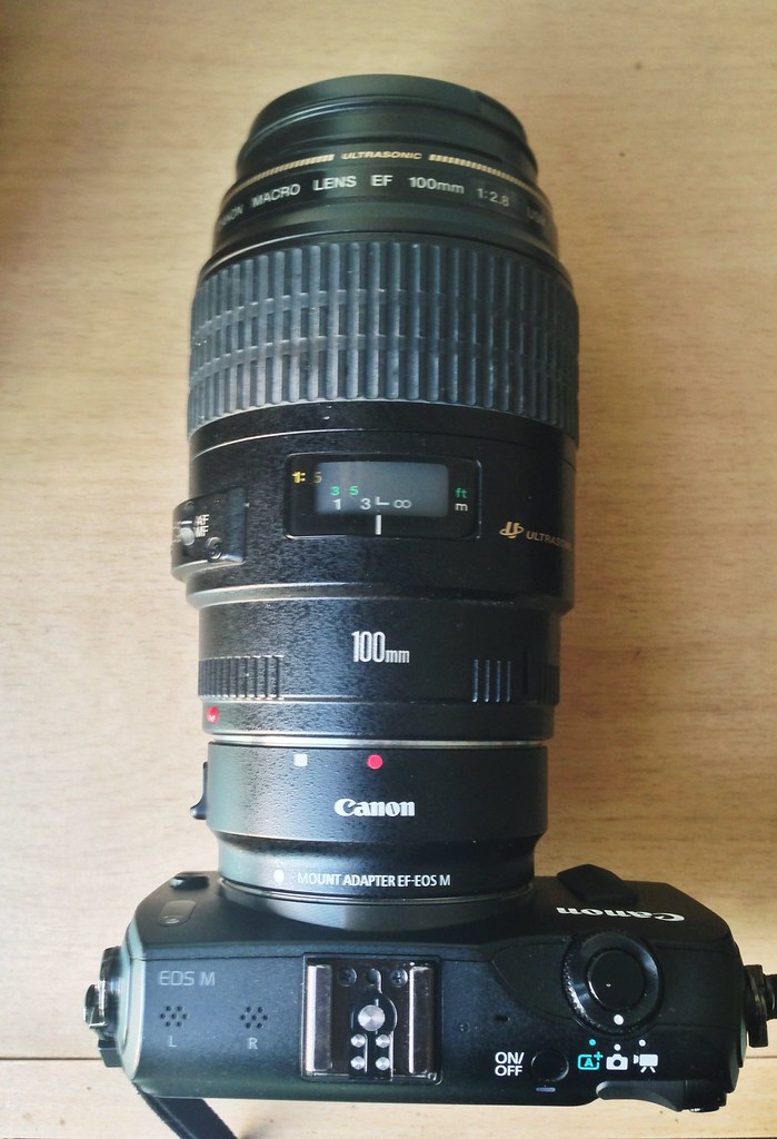 Close-up of a camera lens